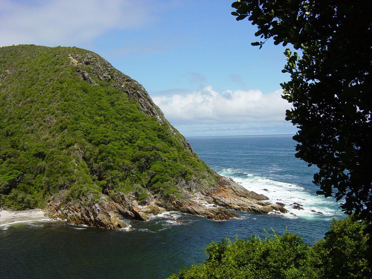 Coastal cliffs and ocean surf along the rocky Tsitsikamma coast